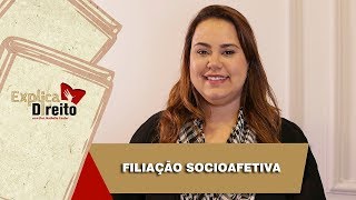 Explica Direito Filiação Socioafetiva  2019 [upl. by Lionello]