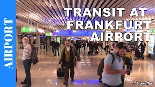 TRANSIT WALK AT FRANKFURT Airport FRA Terminal 1  Connection Flight Transfer Arriving amp Departing [upl. by Femmine]